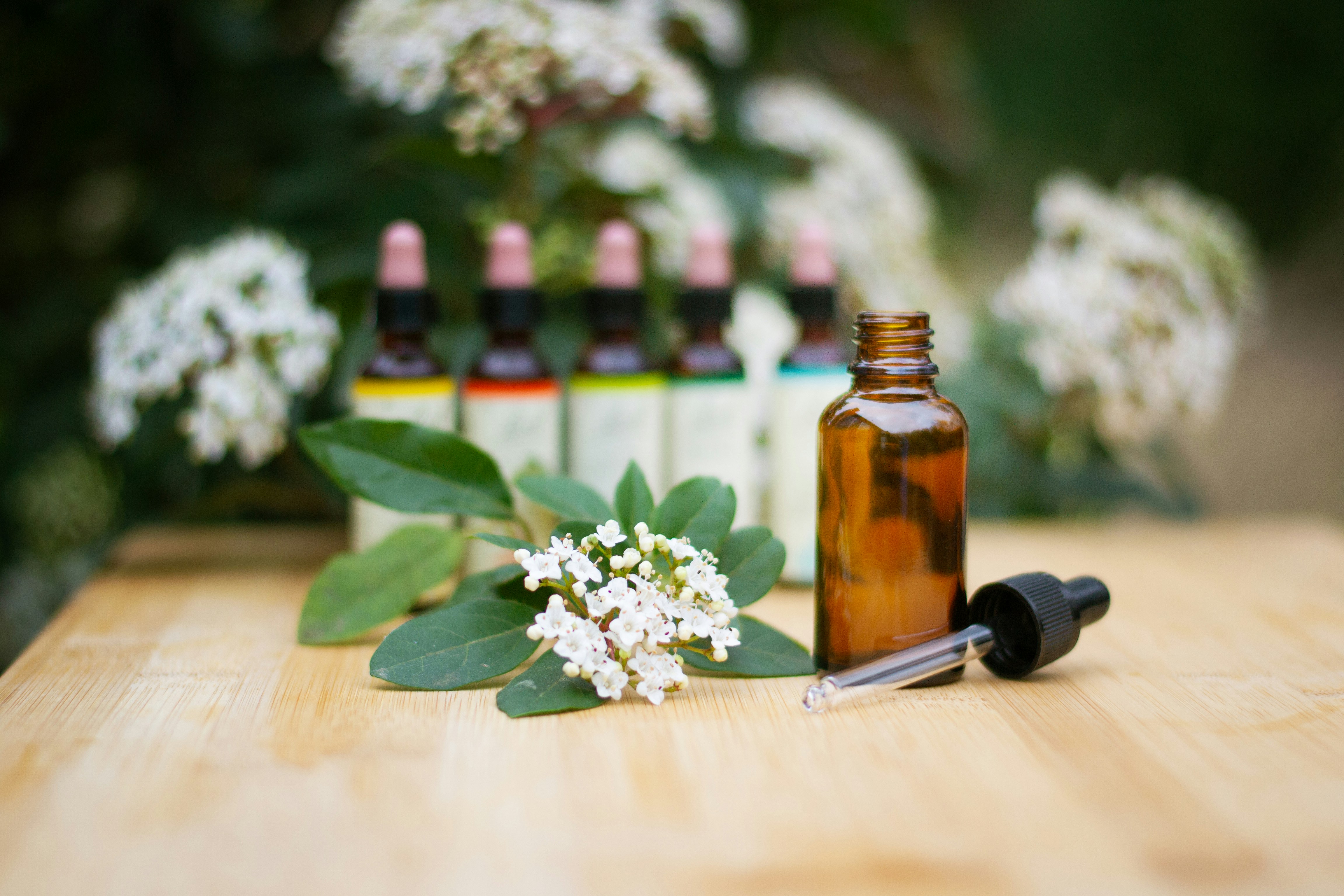 Homöopathie und Phytotherapie